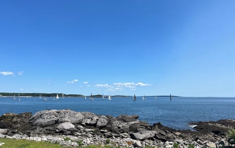 View from House