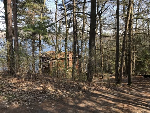 On the path from parking area to the cottage