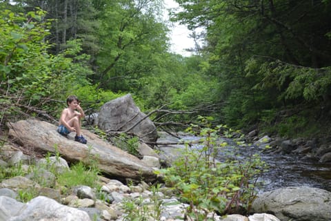 Enjoy the sound and beauty of Wardsboro Creek
