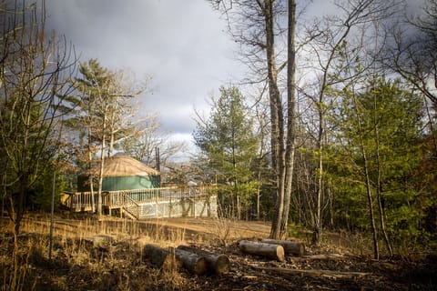 We are in a wooded mountain setting with mountain views