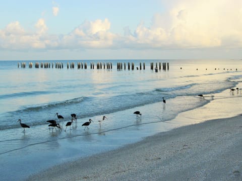 7am   4 blocks to beach, 99 steps to famed 5th Ave remaining photos a short walk 