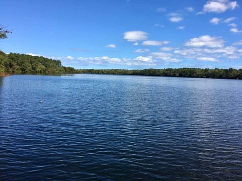 Welcome to tranquil Walkers Pond!  Enjoy this view from the backyard.