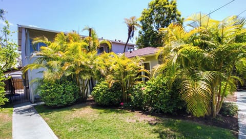 Two bedroom cottage on quiet street - beautiful palms and citrus plants.