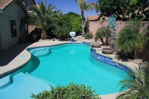 Gorgeous and private back yard!