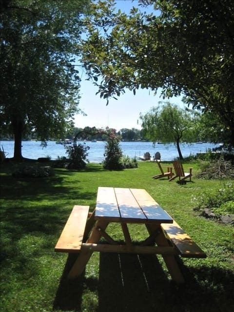 Picnic table in the backyard