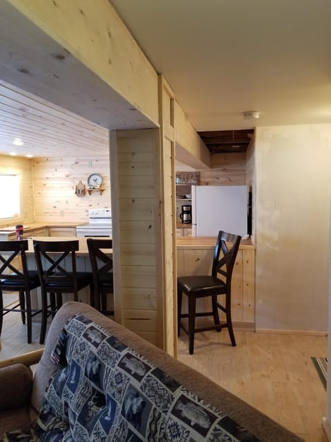 Living room - kitchen area