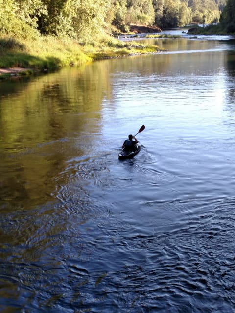 Visit The McKenzie River recreation area!