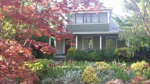 Quiet tree-lined street. 