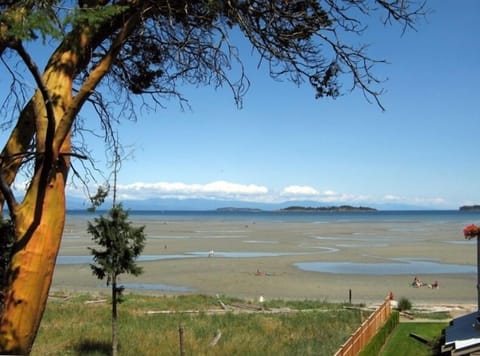 View from the Upper Deck