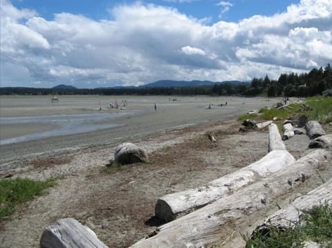 Southerly view of the beach directly in front of the complex.