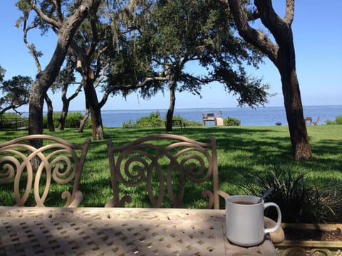 Morning seaside coffee under the shady scrub Oak trees.