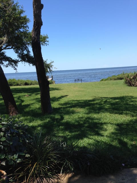 A nice big shady backyard, and always a sea breeze!