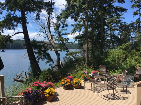 Glorious summer day on the deck.