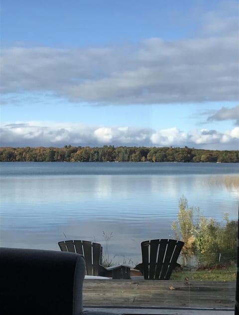 Sleeping Bear Dunes Pet Friendly Cottage on the Lake  Cottage in Sleeping Bear Dunes