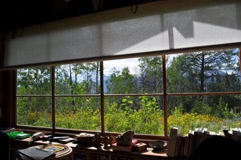 Living room front window and book shelf