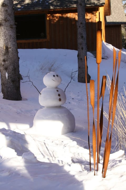 Snowman at the cabin! Fun day playing with the kids in the snow.