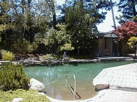 Slopped entry to unique pool with natural cement finish
