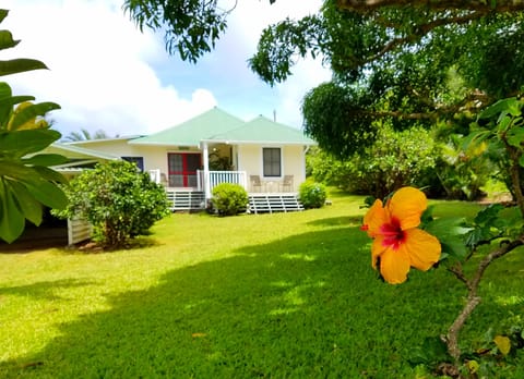 Welcome to Hawi Haven!! We love our front yard!