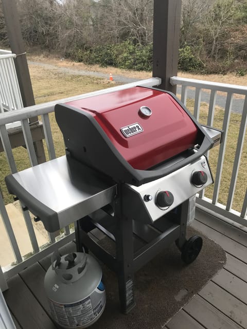 New grill for 2019!