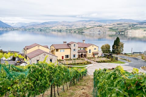 A view of the estate from our vineyard