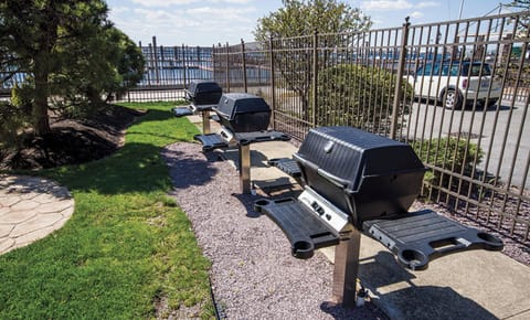 BBQ Grills