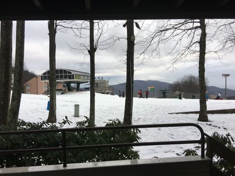 View from back porch