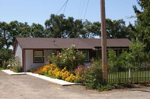 View of Daisy's Place from driveway
