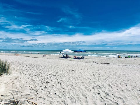 Beach directly in front of unit