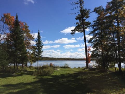 Looking out from the deck, early autumn.