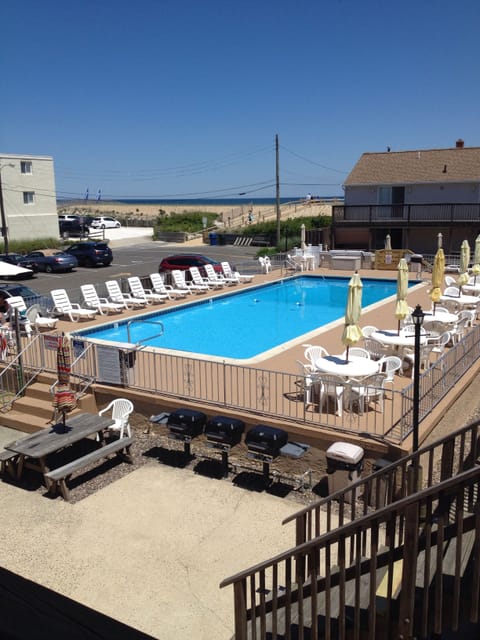 Oversized Olympic Pool☀️🏊‍♂️