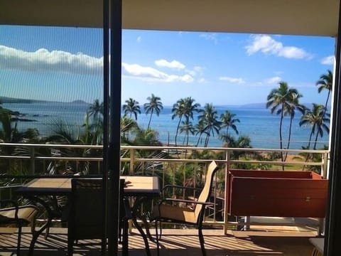 VIEW FROM LIVING ROOM