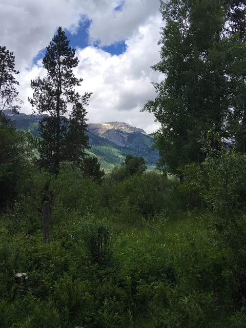 View from back of condo