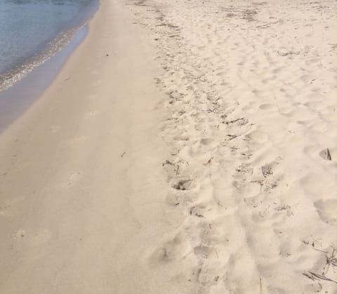 SOFT, SUGAR SAND BEACH RIGHT OUT THE FRONT DOOR.






























