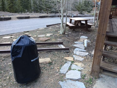 Exclusive use of our  charcoal smoker/grill, gas grill and picnic table