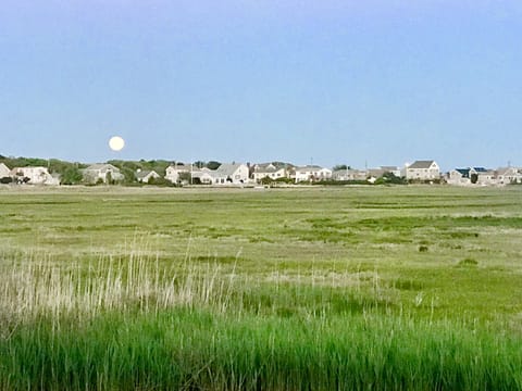Low tide full moon