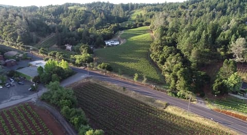 Ariel photo of Sapphire Canyon Vineyard
