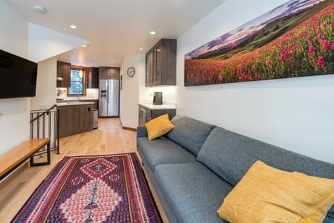 Second floor, contemporary living area is open to kitchen and bar.