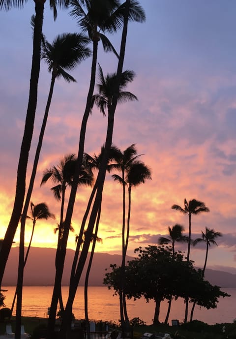 Beautiful sunrise from our lanai!