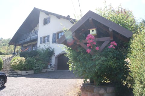 view from our private driveway