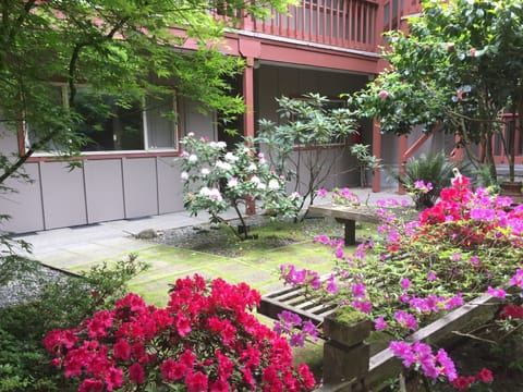 Ground floor unit with courtyard out the entry way
