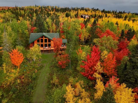 Gorgeous fall colors all around 