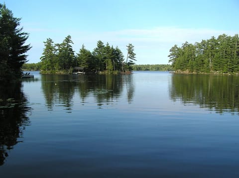 The view from the dock in the afternoon