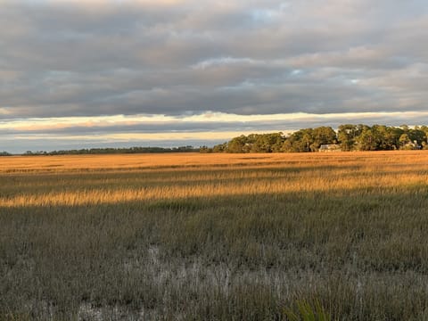 Your peaceful view.
