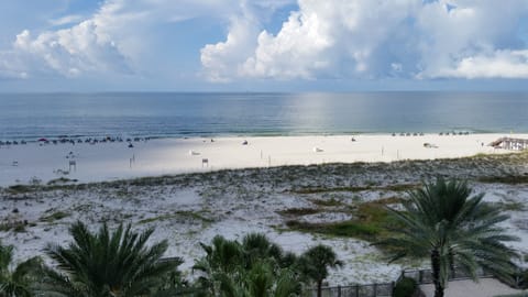 View from Balcony