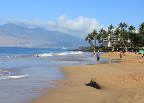 Beautiful Sandy Kamaole II Beach Across the Street.  Swim, Sunbathe, Snorkel.