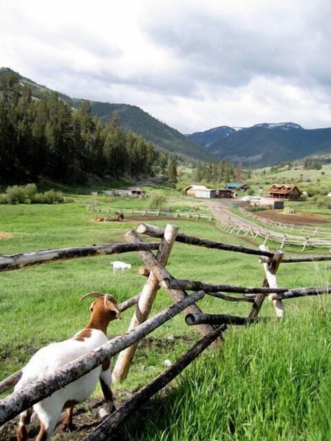 entrance to cabins, schoolhouse and creek with other old buildings for storage