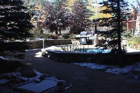 Hot tub and grill, common area