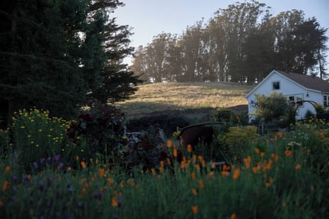 The private garden at the School House at Stemple Creek Ranch. 
