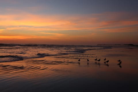 Sunrise with friends on the beach