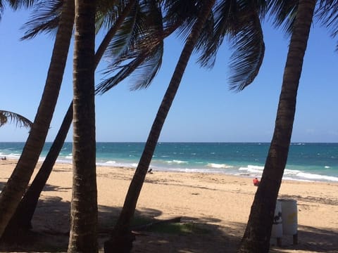 Beach at the Condo!